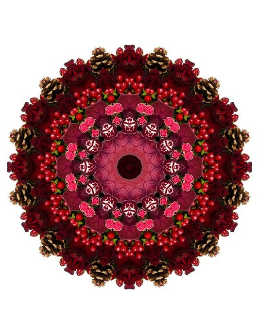 Open Flora - Fractalis 50