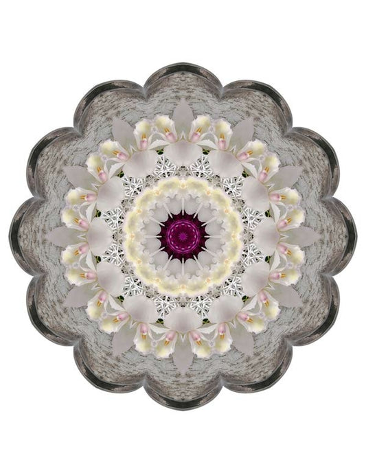 Open Flora - Fractalis 51