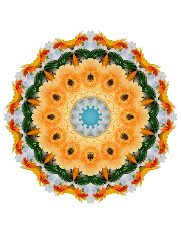 Open Flora - Fractalis 52
