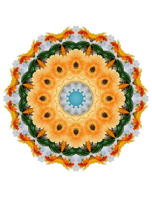 Open Flora - Fractalis 52