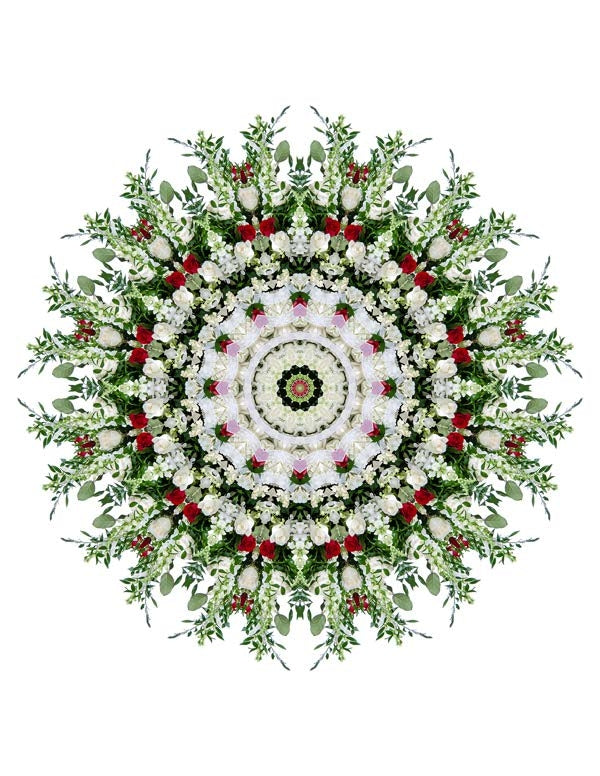 Open Flora - Fractalis 53