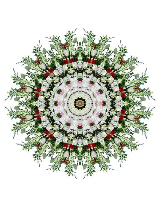 Open Flora - Fractalis 53
