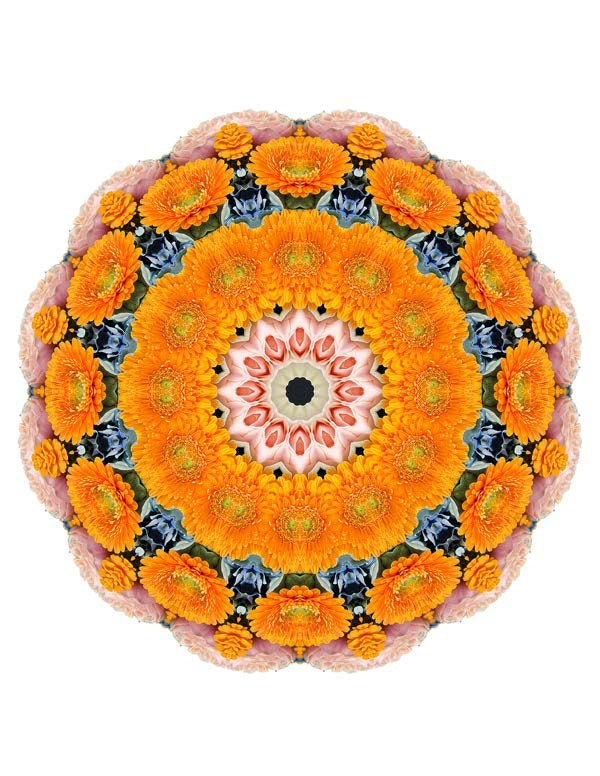 Open Flora - Fractalis 54