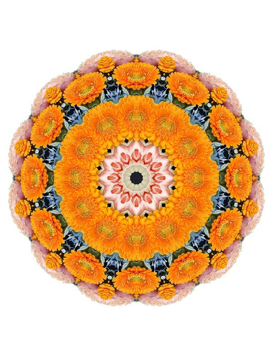 Open Flora - Fractalis 54