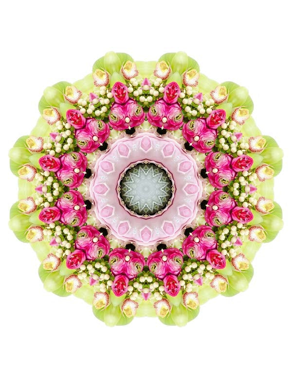 Open Flora - Fractalis 55