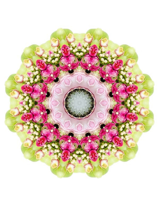 Open Flora - Fractalis 55