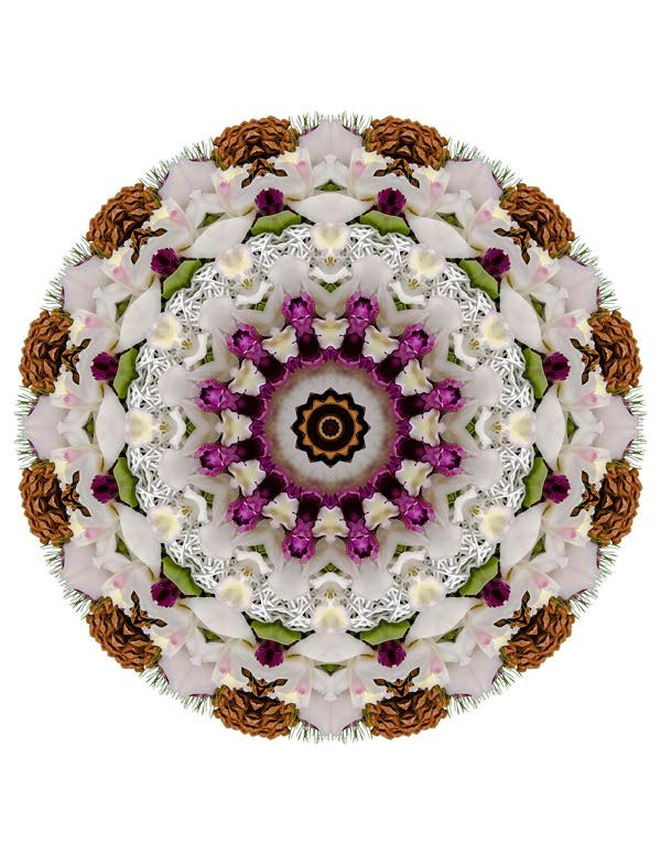 Open Flora - Fractalis 56