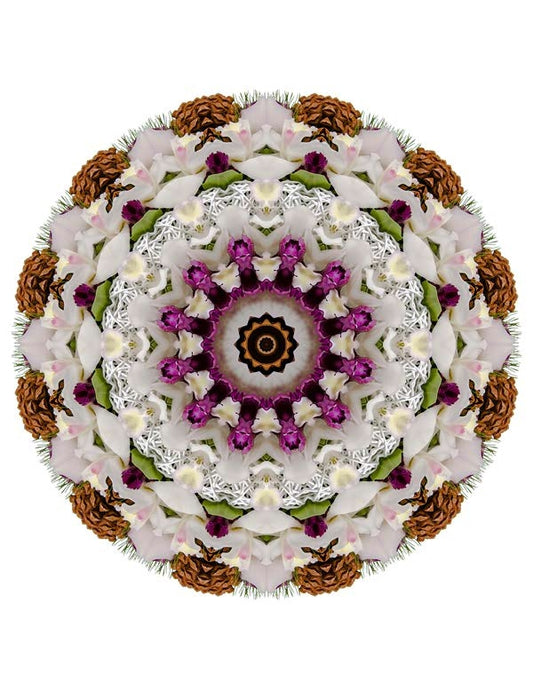 Open Flora - Fractalis 56