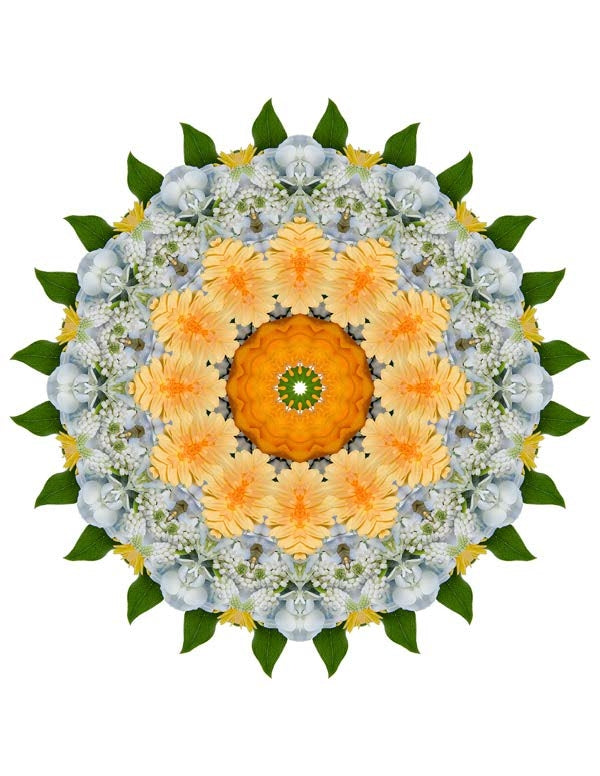 Open Flora - Fractalis 57