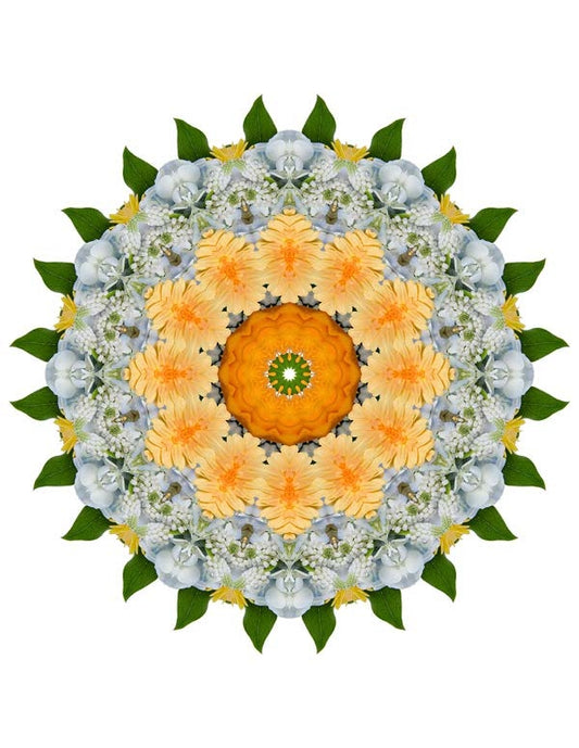 Open Flora - Fractalis 57