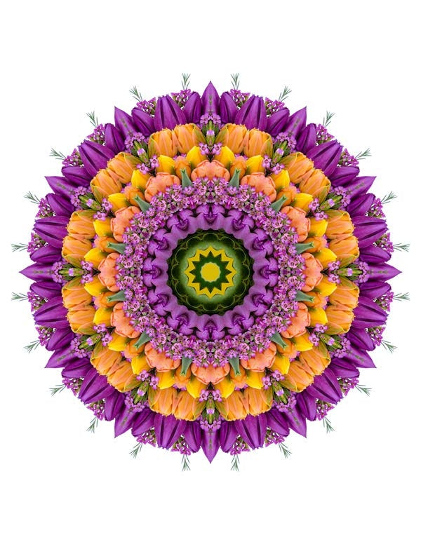 Open Flora - Fractalis 59