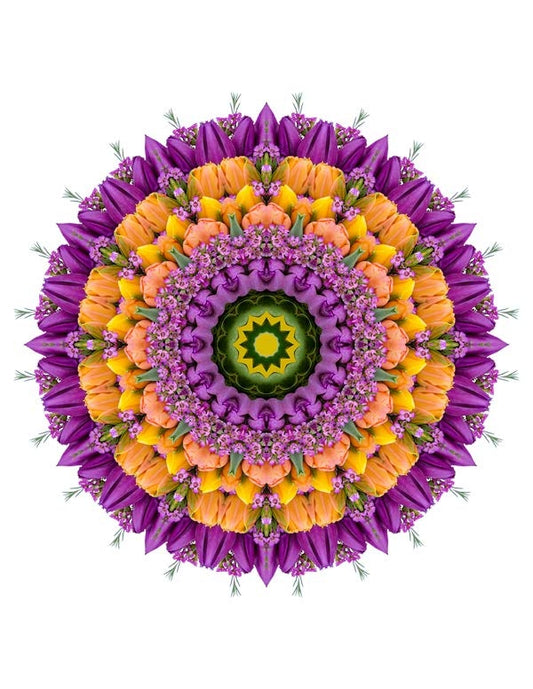 Open Flora - Fractalis 59