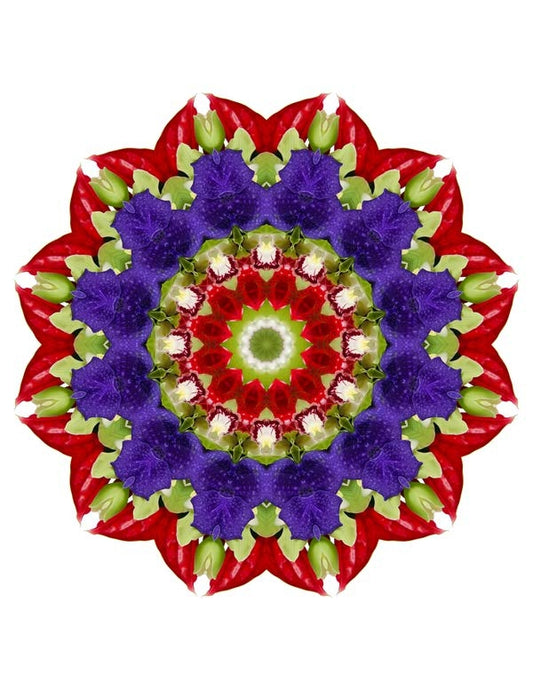Open Flora - Fractalis 5