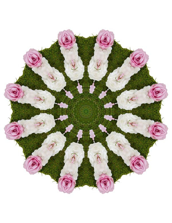 Open Flora - Fractalis 60