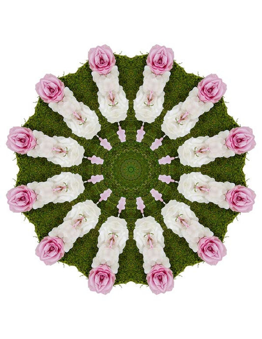 Open Flora - Fractalis 60