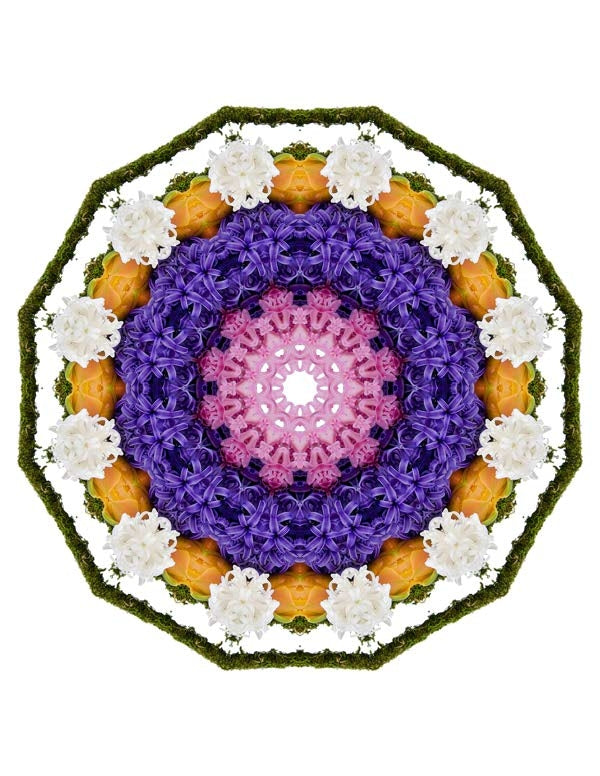 Open Flora - Fractalis 62