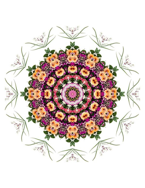 Open Flora - Fractalis 63