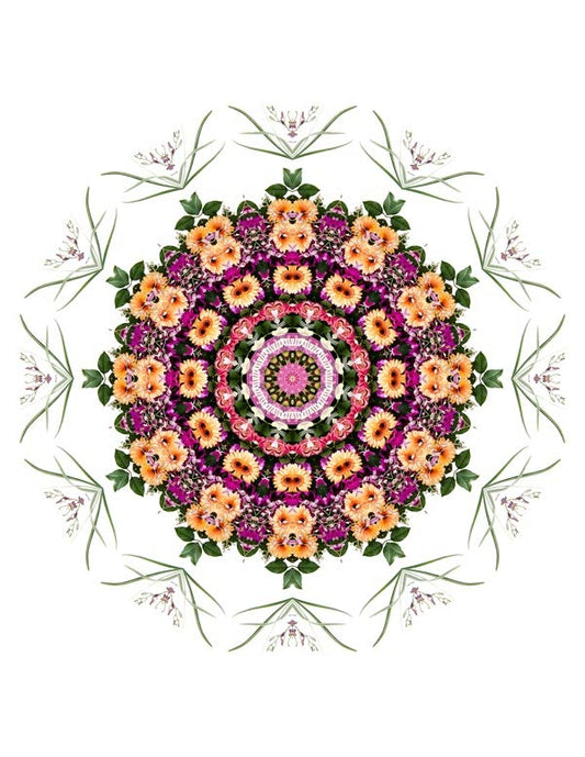 Open Flora - Fractalis 63