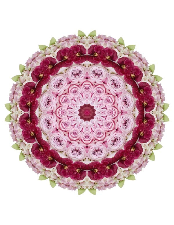 Open Flora - Fractalis 64