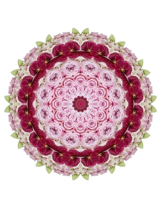 Open Flora - Fractalis 64