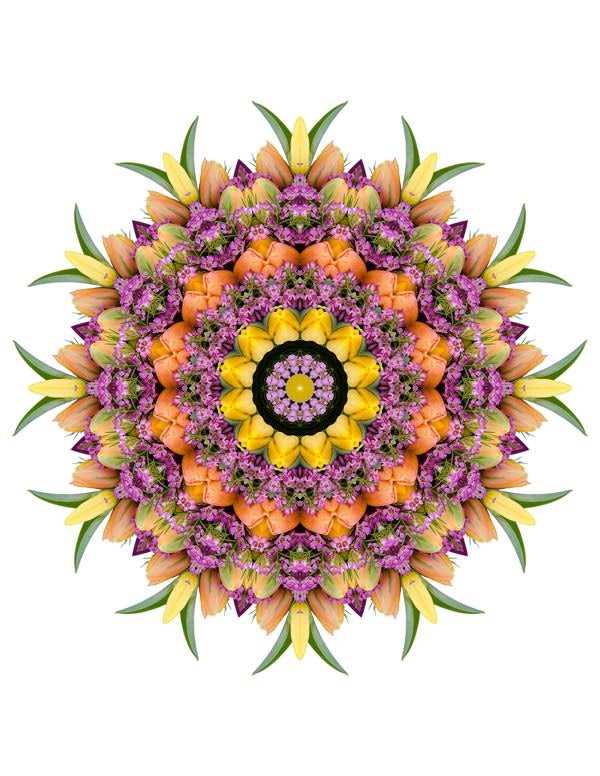 Open Flora - Fractalis 66