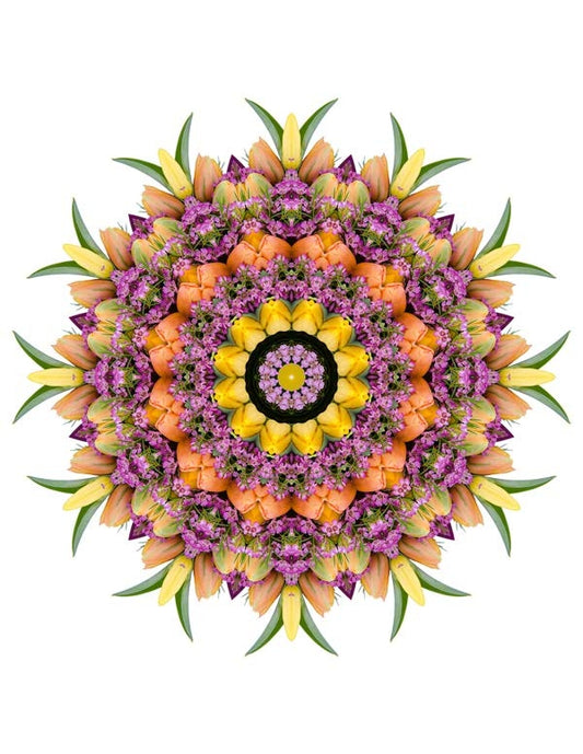 Open Flora - Fractalis 66