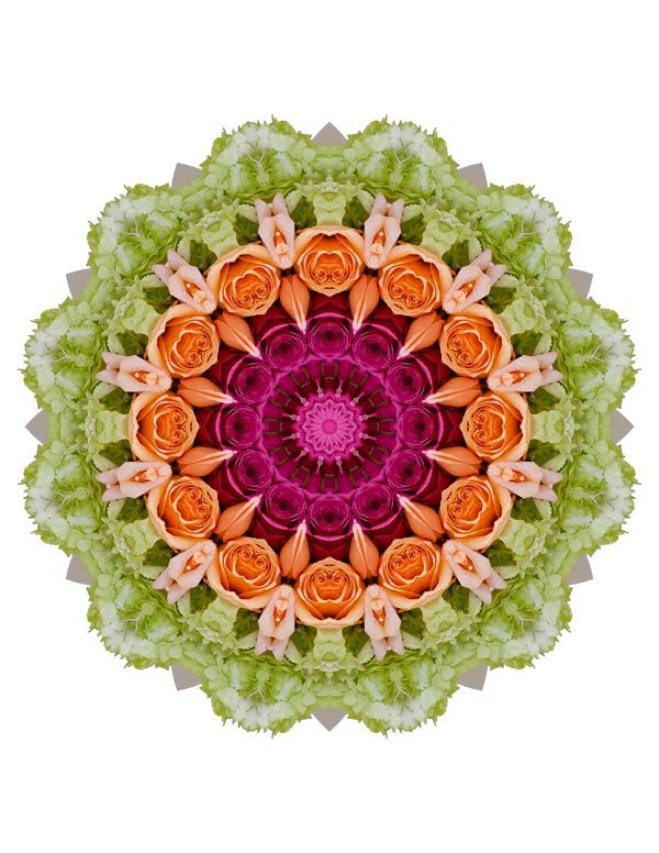 Open Flora - Fractalis 67