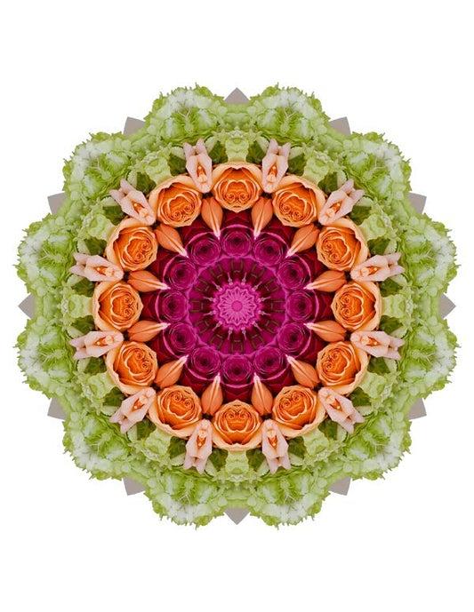 Open Flora - Fractalis 67
