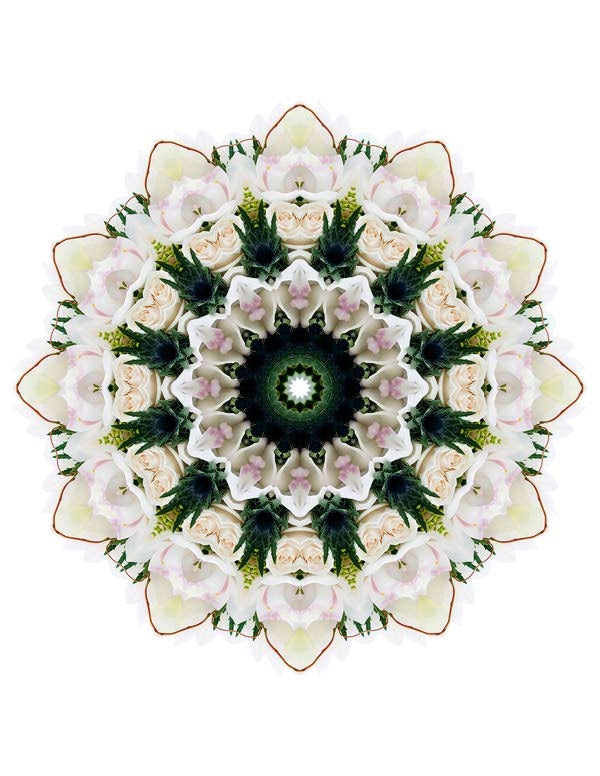Open Flora - Fractalis 6