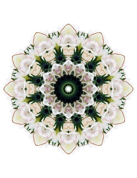 Open Flora - Fractalis 6