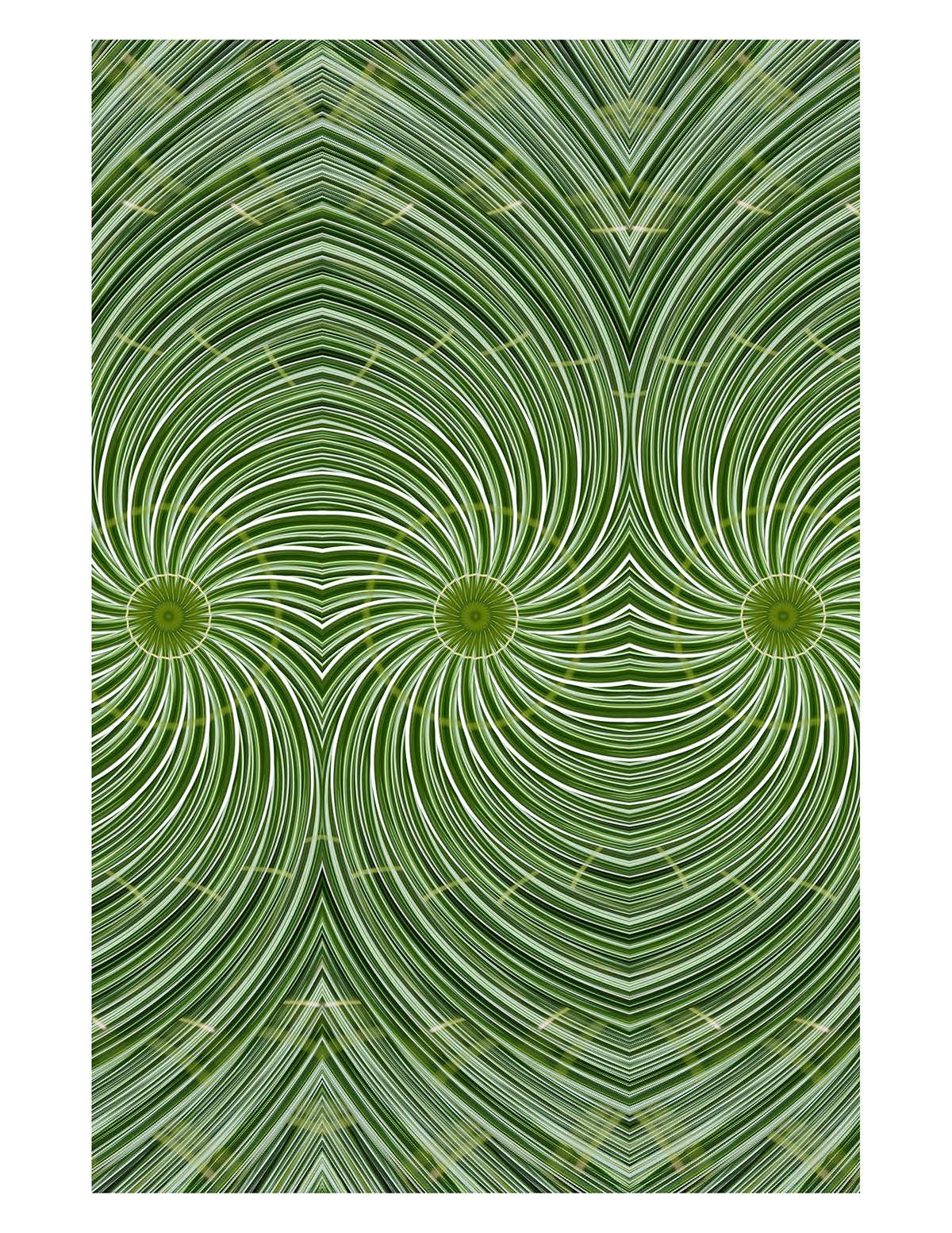 Organic Abstract 7