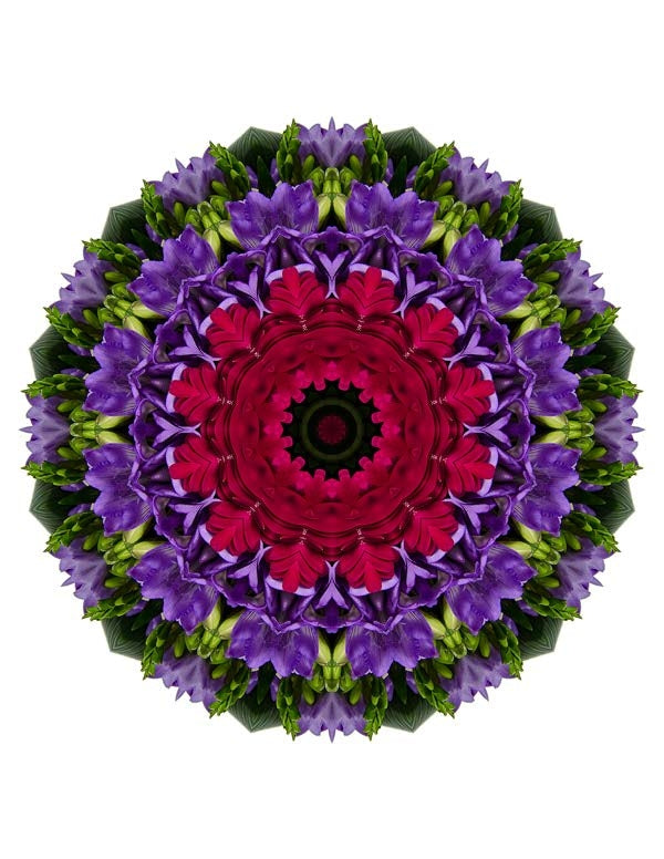 Open Flora - Fractalis 7