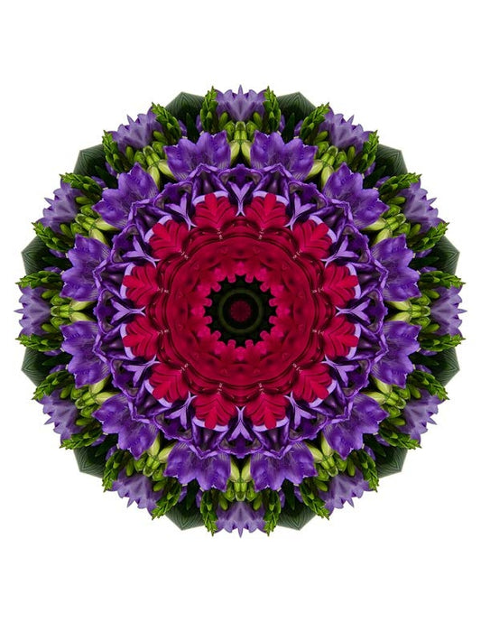 Open Flora - Fractalis 7