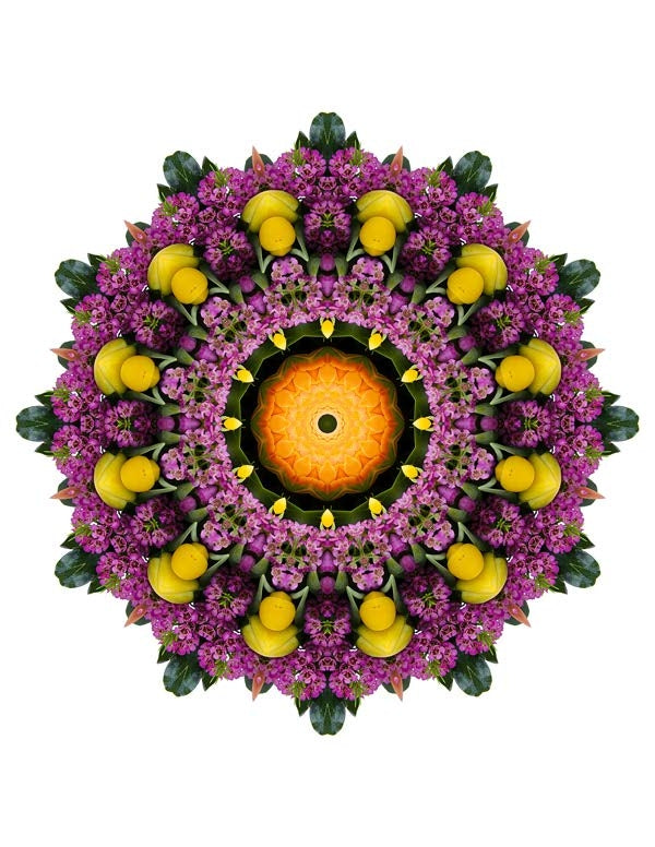 Open Flora - Fractalis 8