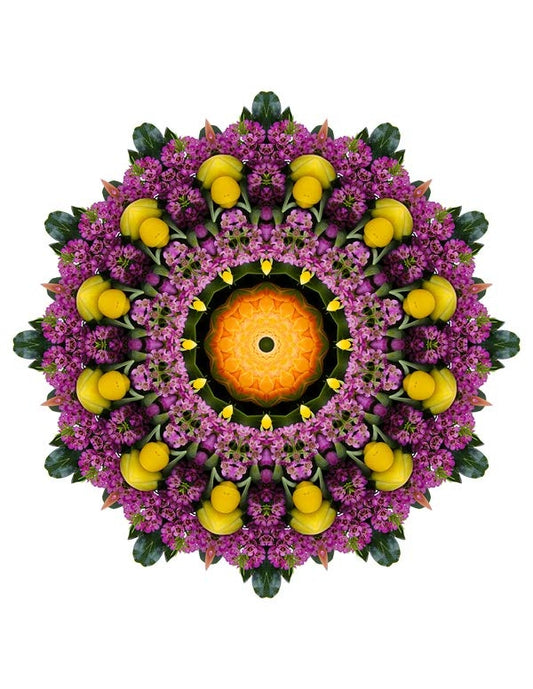 Open Flora - Fractalis 8
