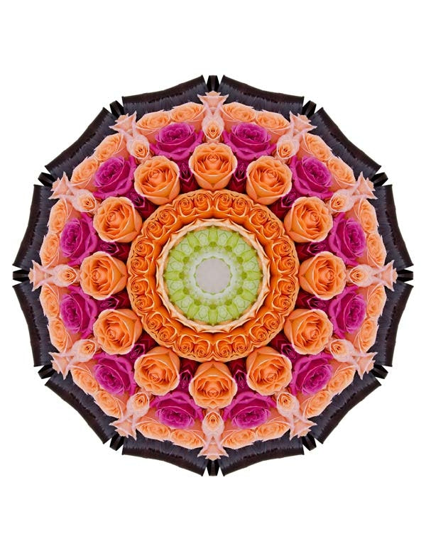 Open Flora - Fractalis 9