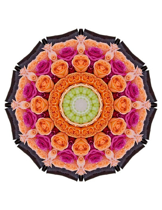 Open Flora - Fractalis 9